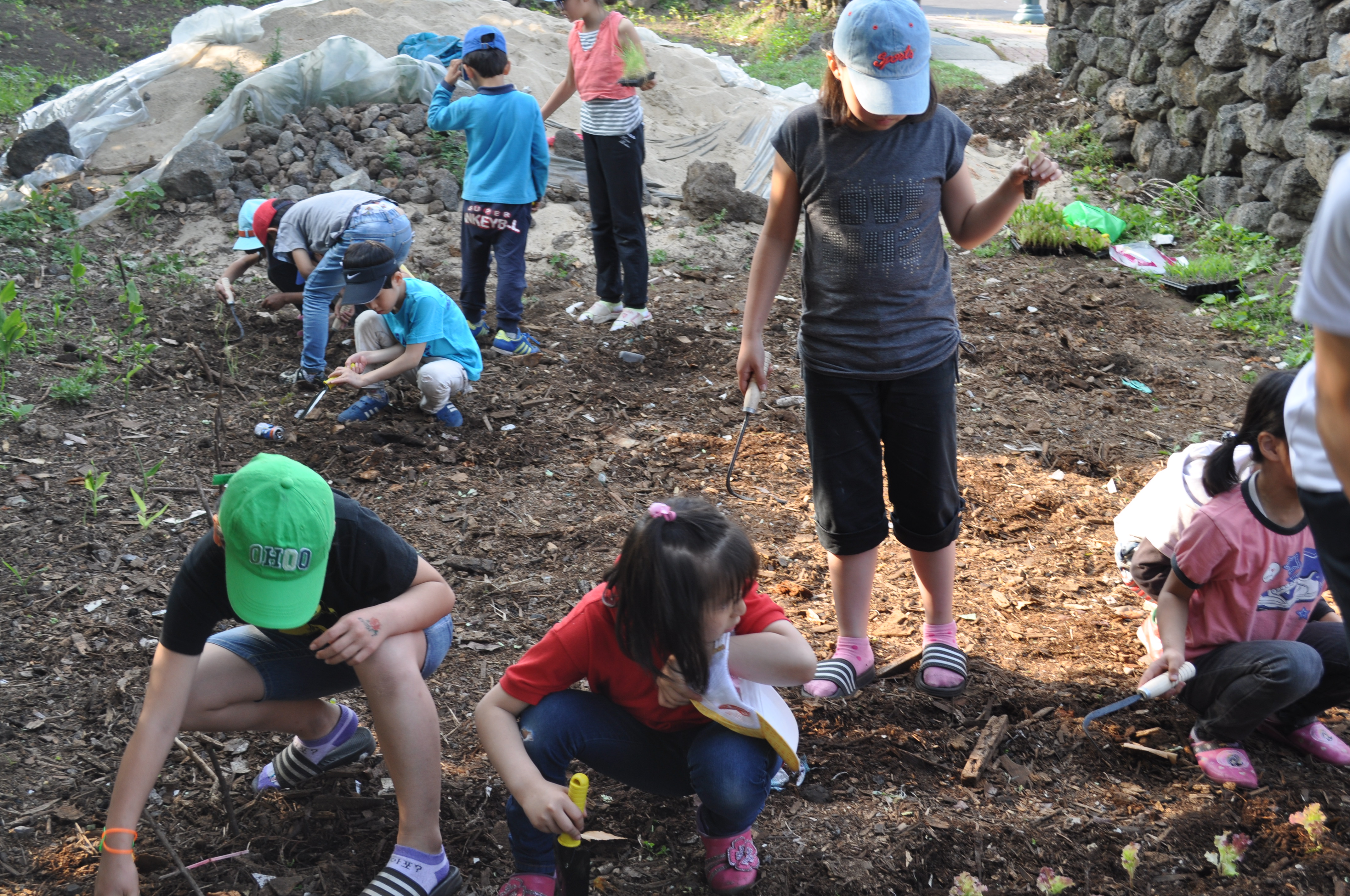 제남아동복지센터 아이들과 텃밭가꾸기