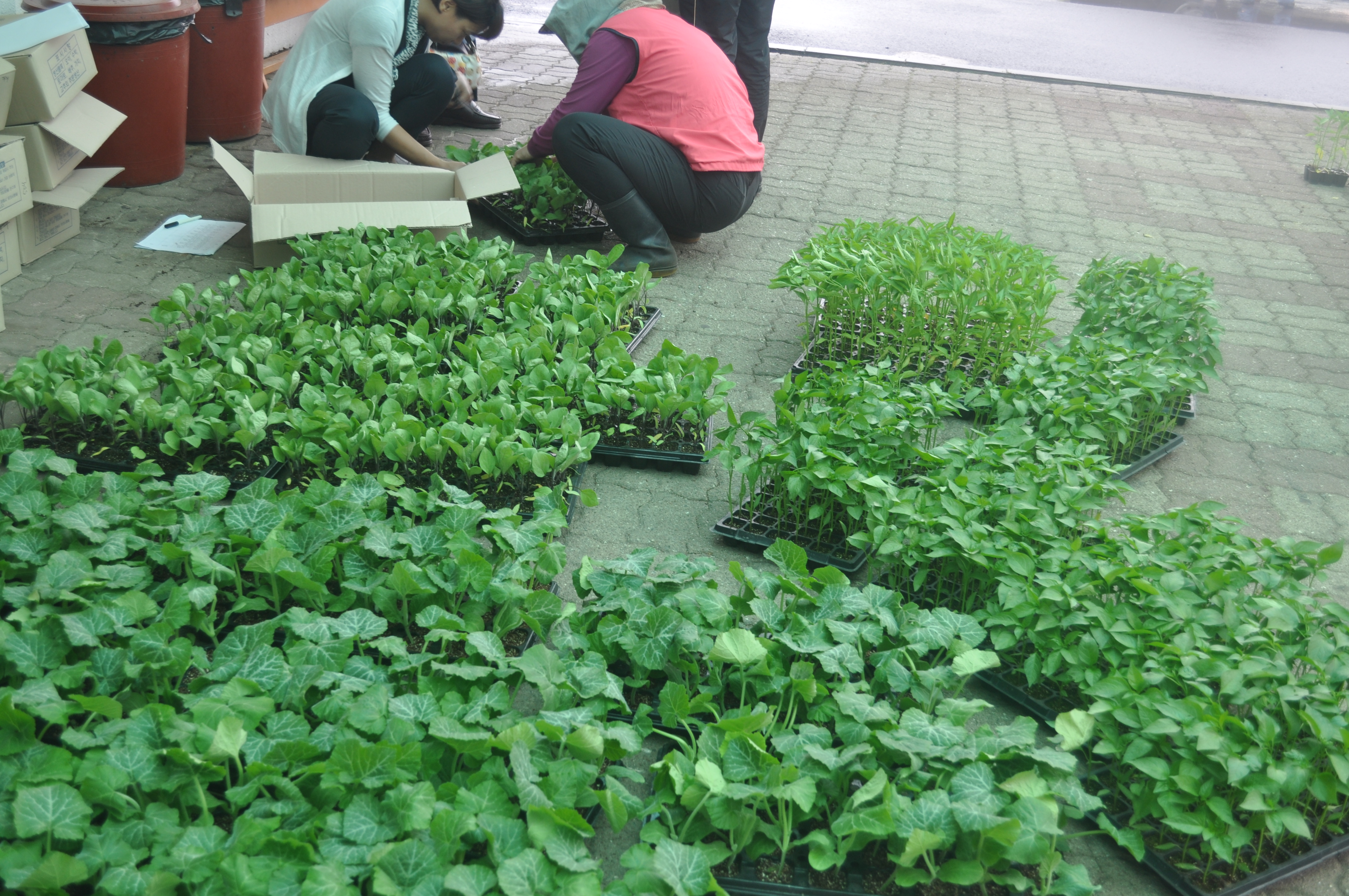 [농촌자원] 여성농업인 텃밭가꾸기 교육(2011.5.9)