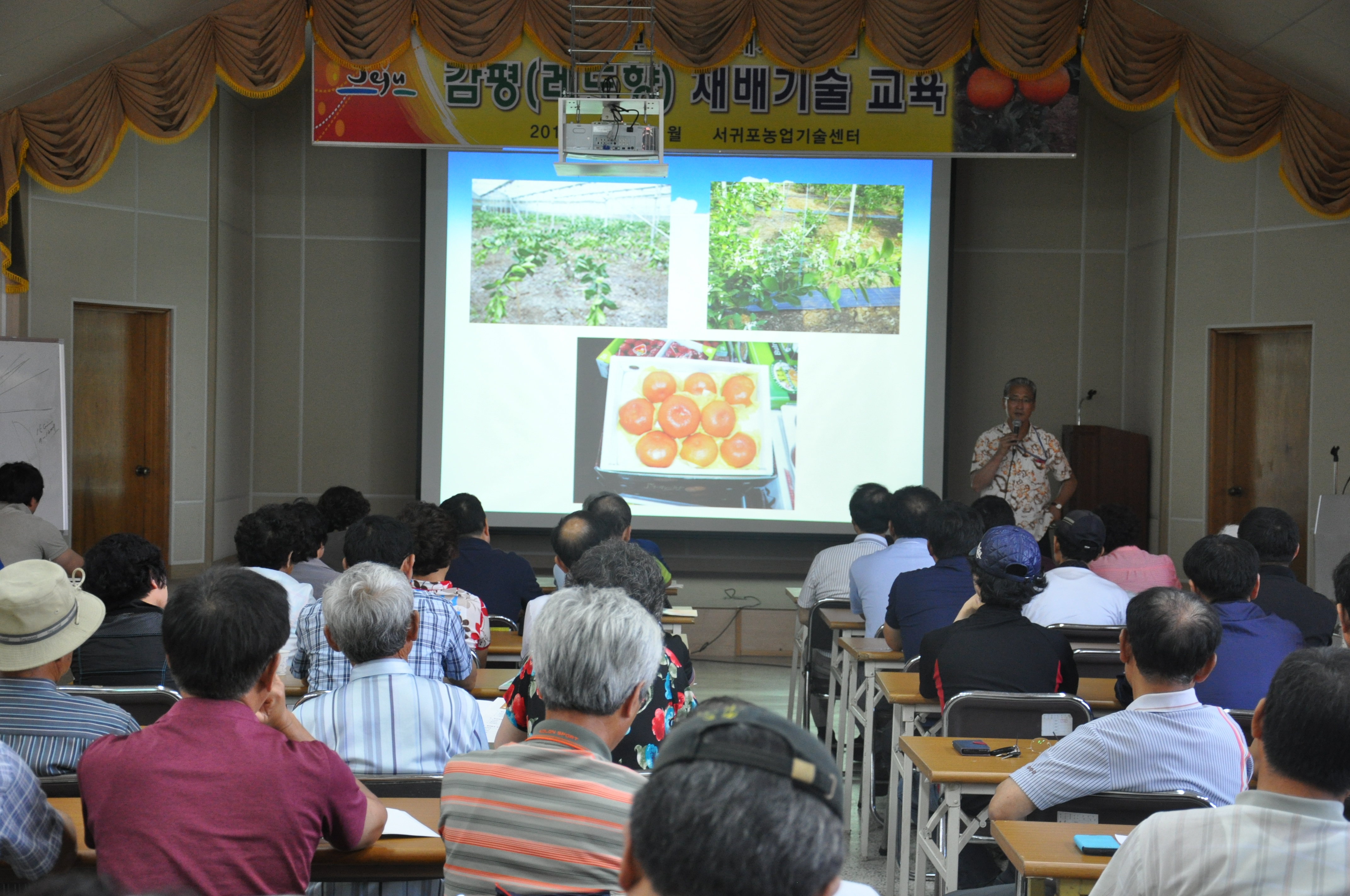 감평재배기술교육