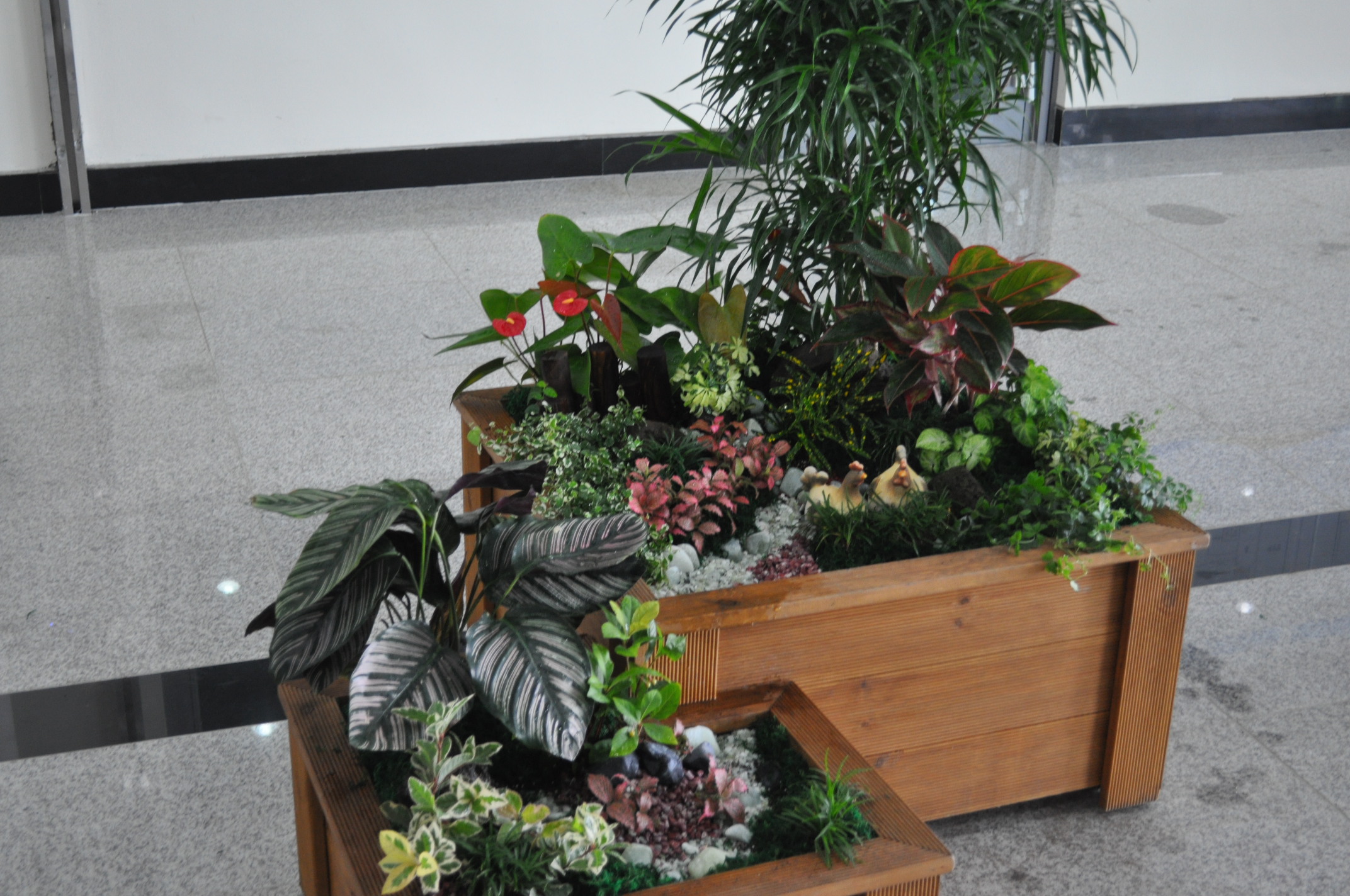 제5회 생활원예 콘테스트(2010.09.30)