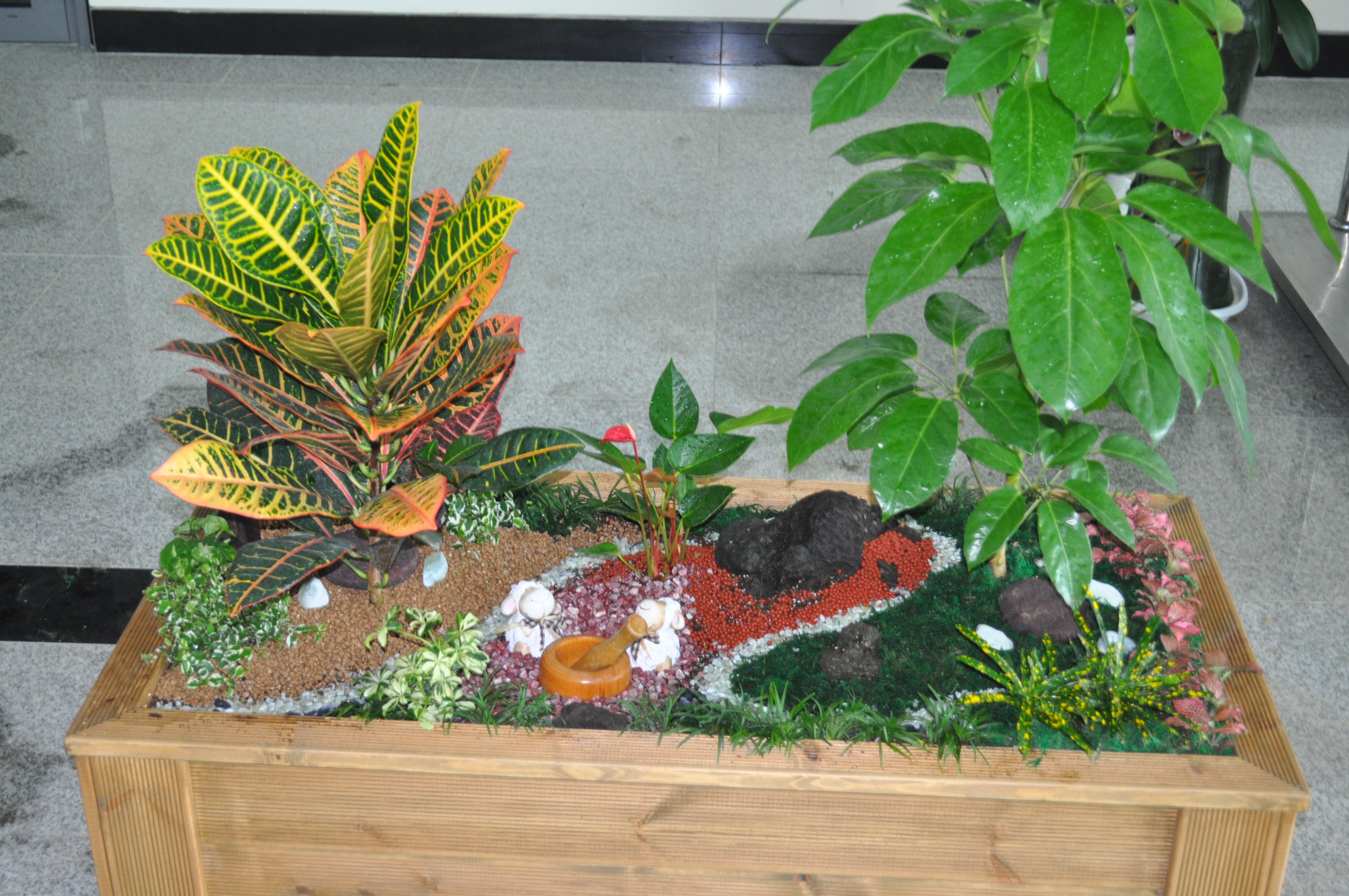 제5회 생활원예콘테스트(2010.09.30)