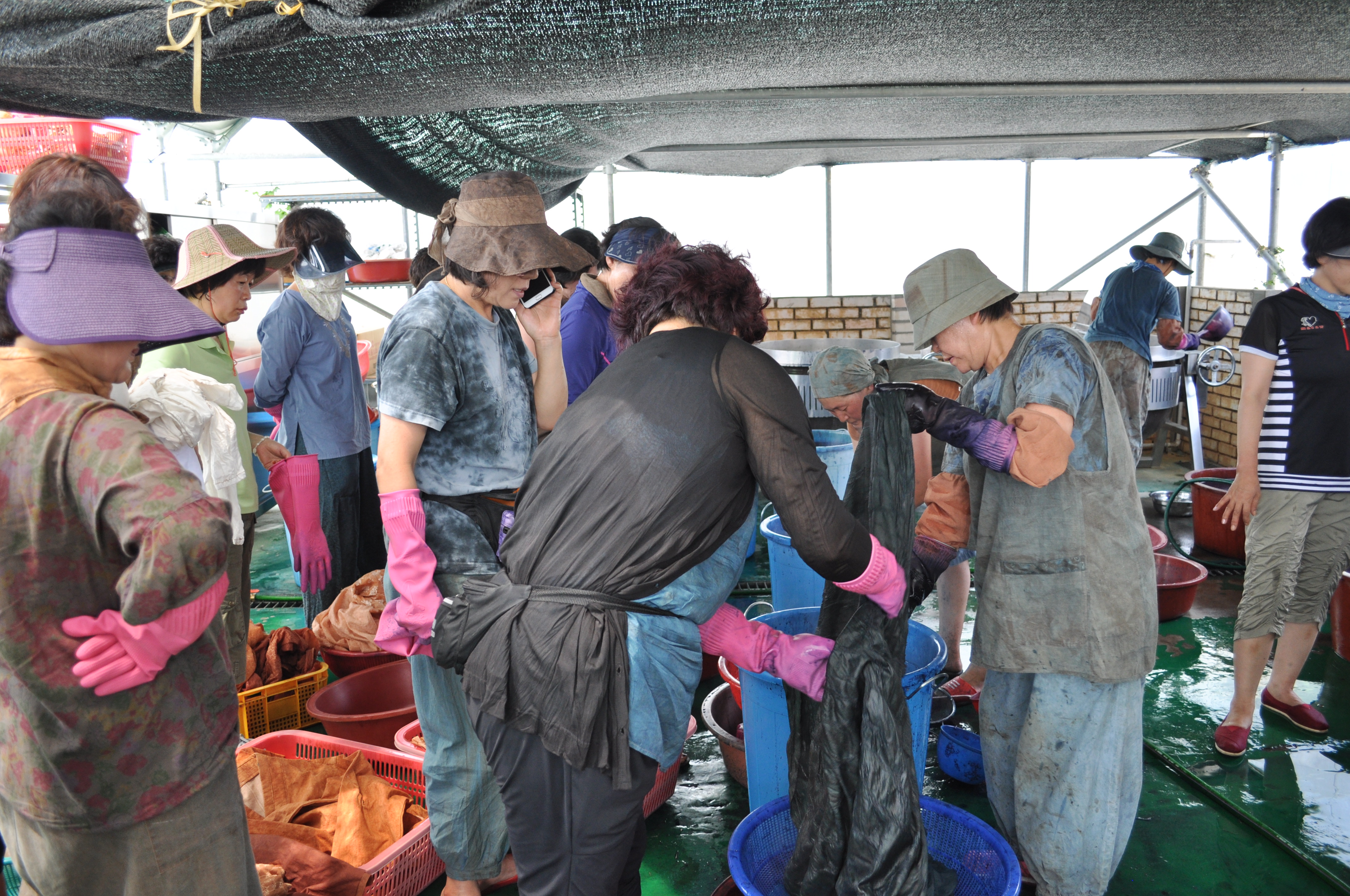 감물들이기 체험행사