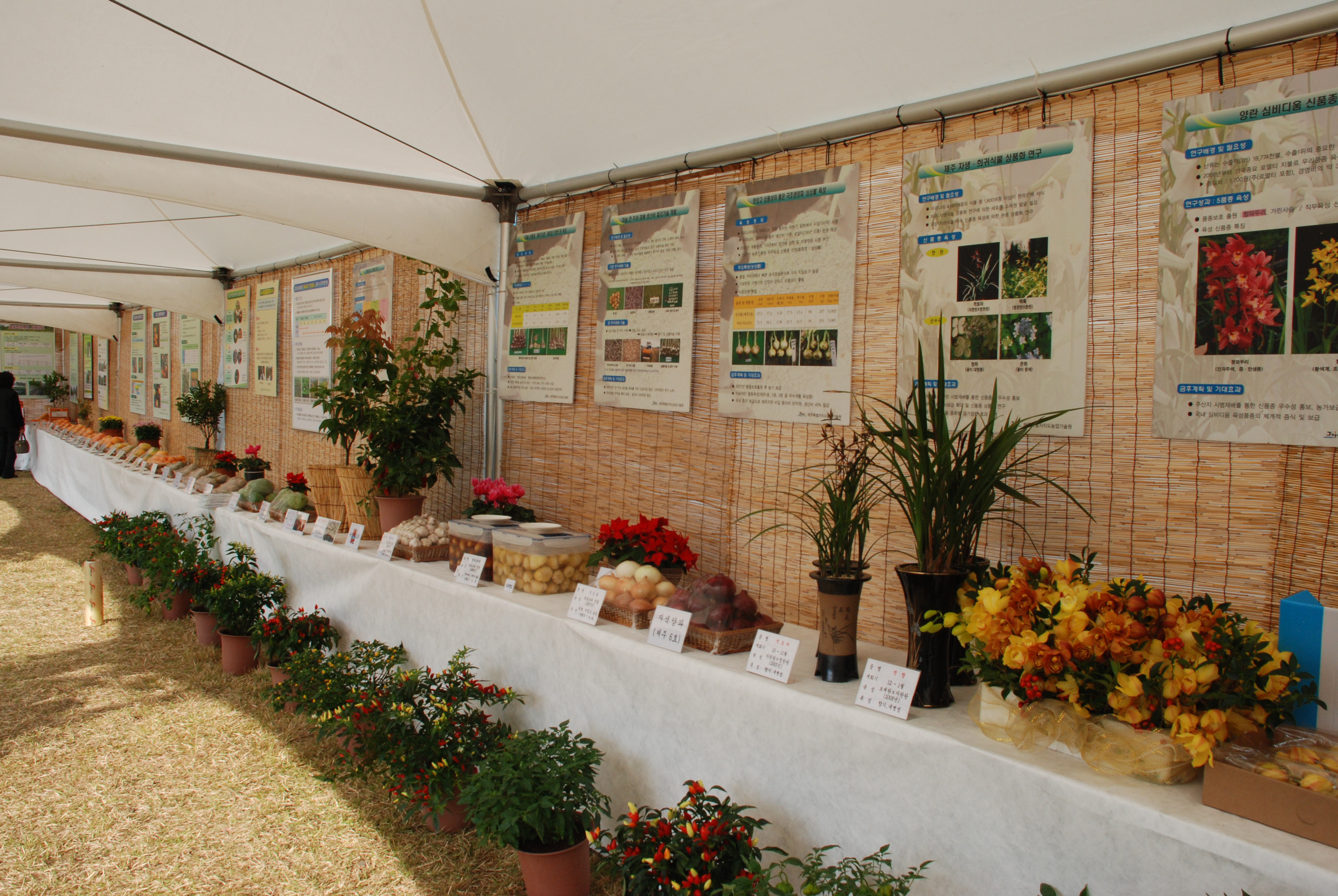 농촌진흥업무 성과전시 사진