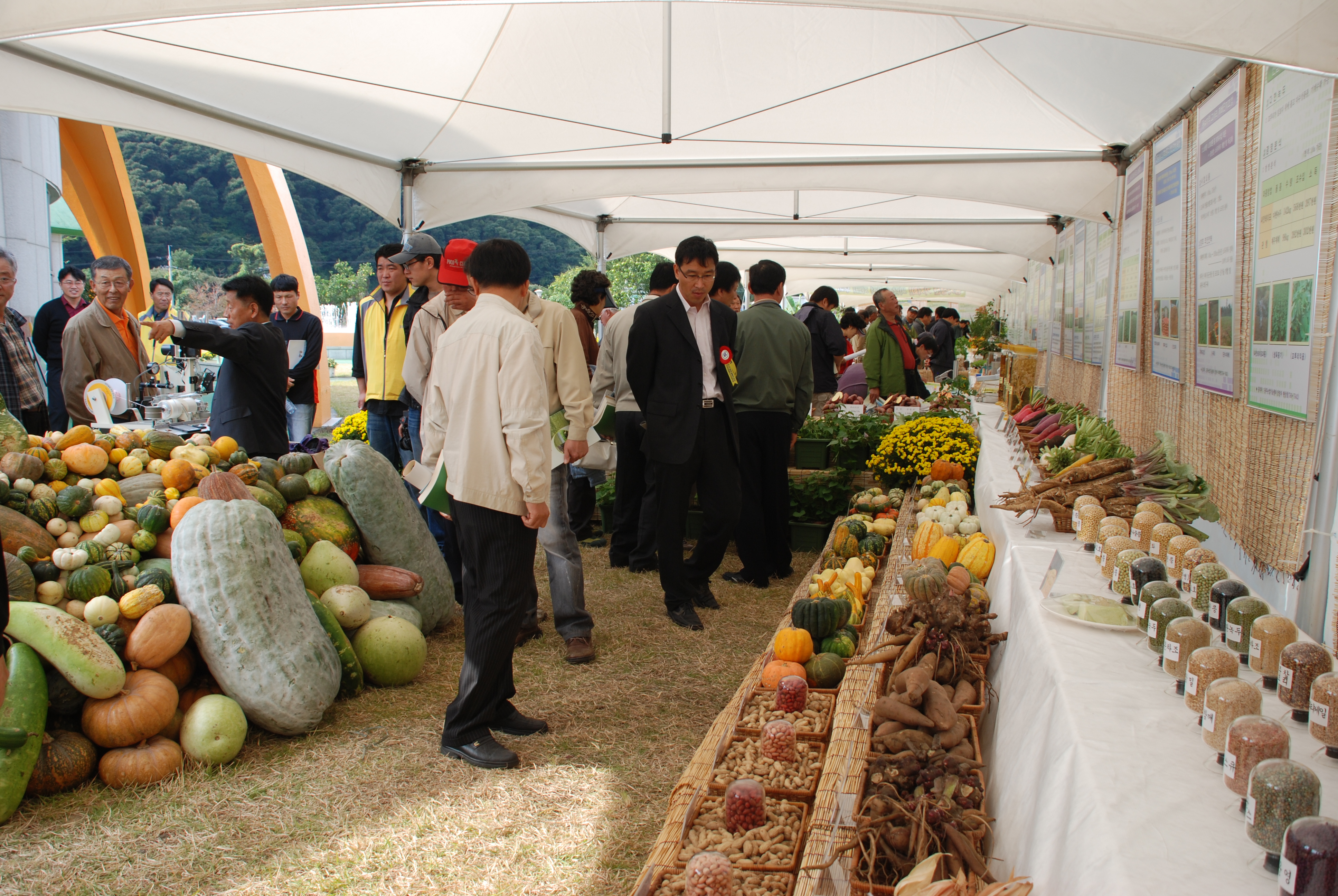 농촌진흥업무 성과전시