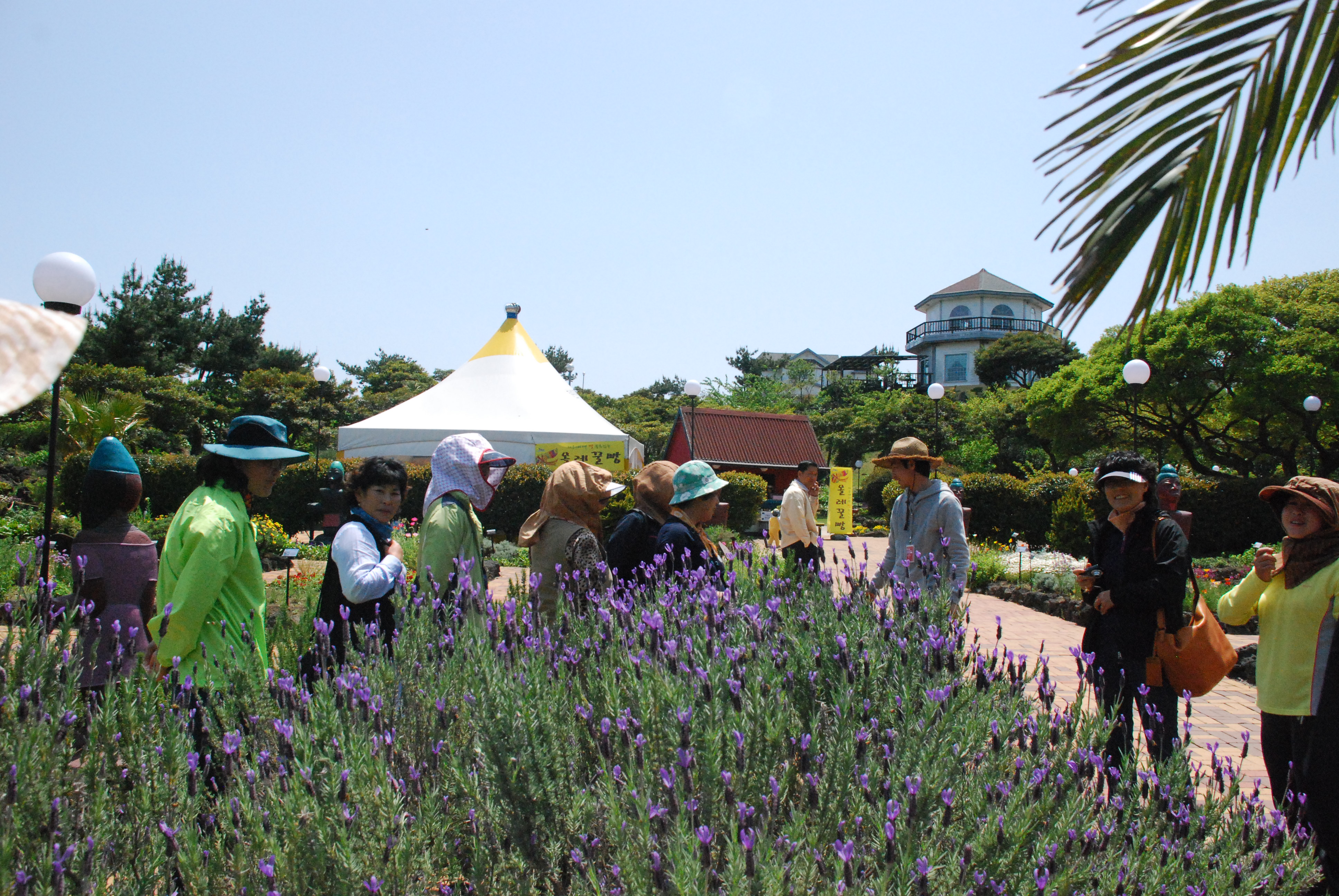 2010 생활원예강좌 5회차