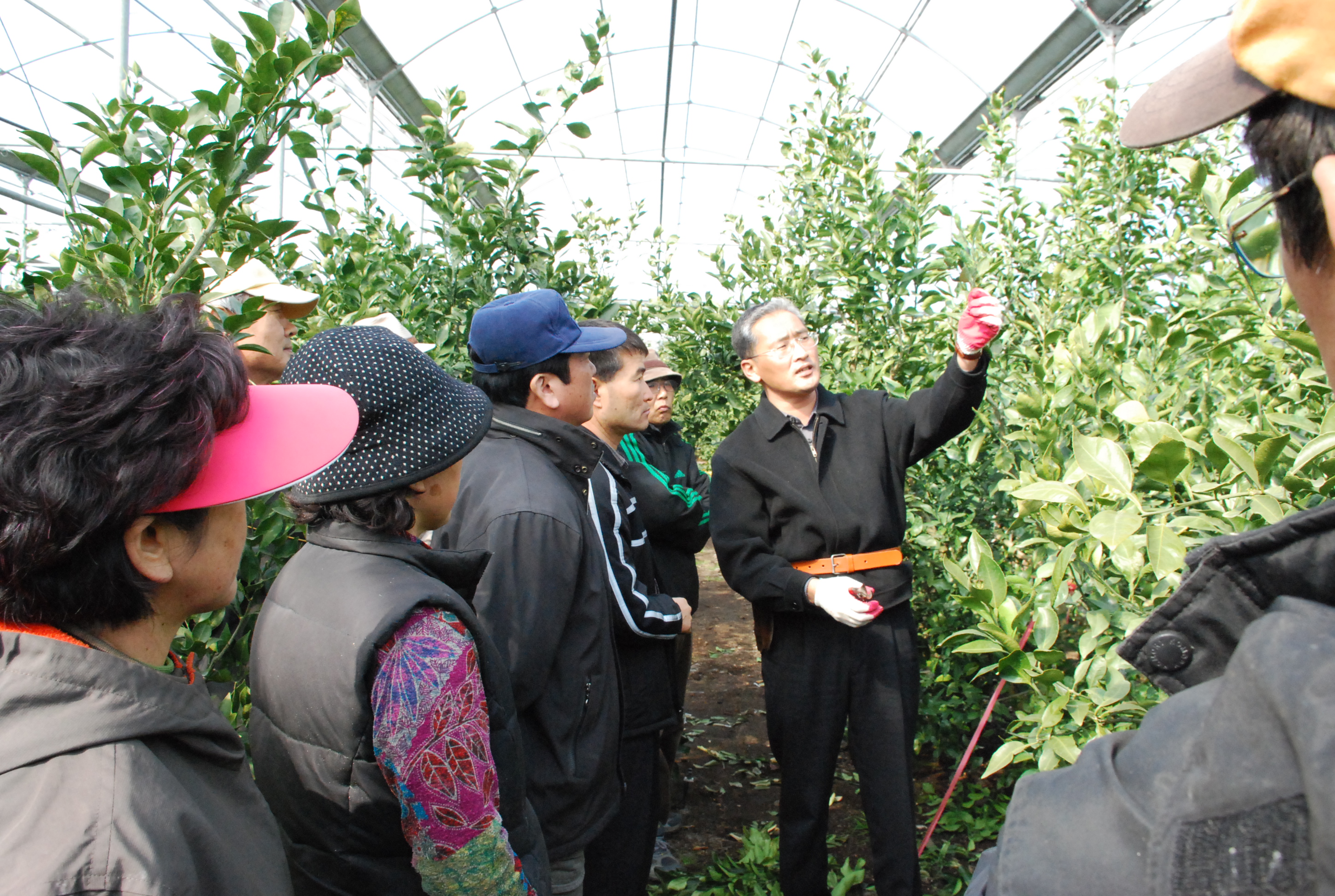 정지전정 영농교육