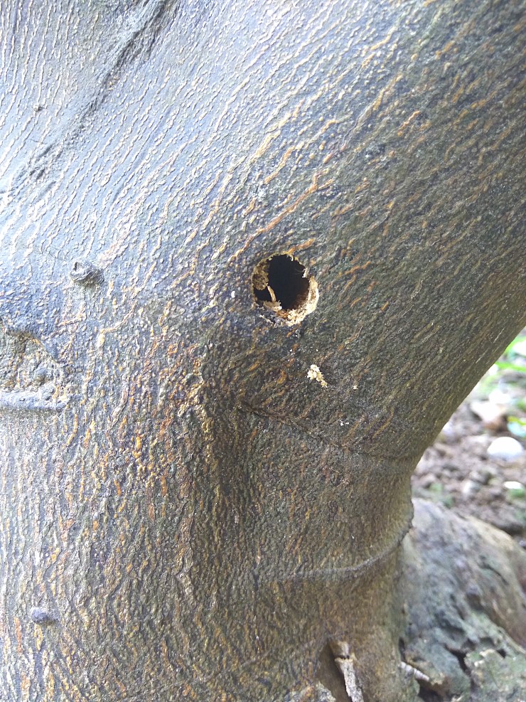 확인 부탁드립니다