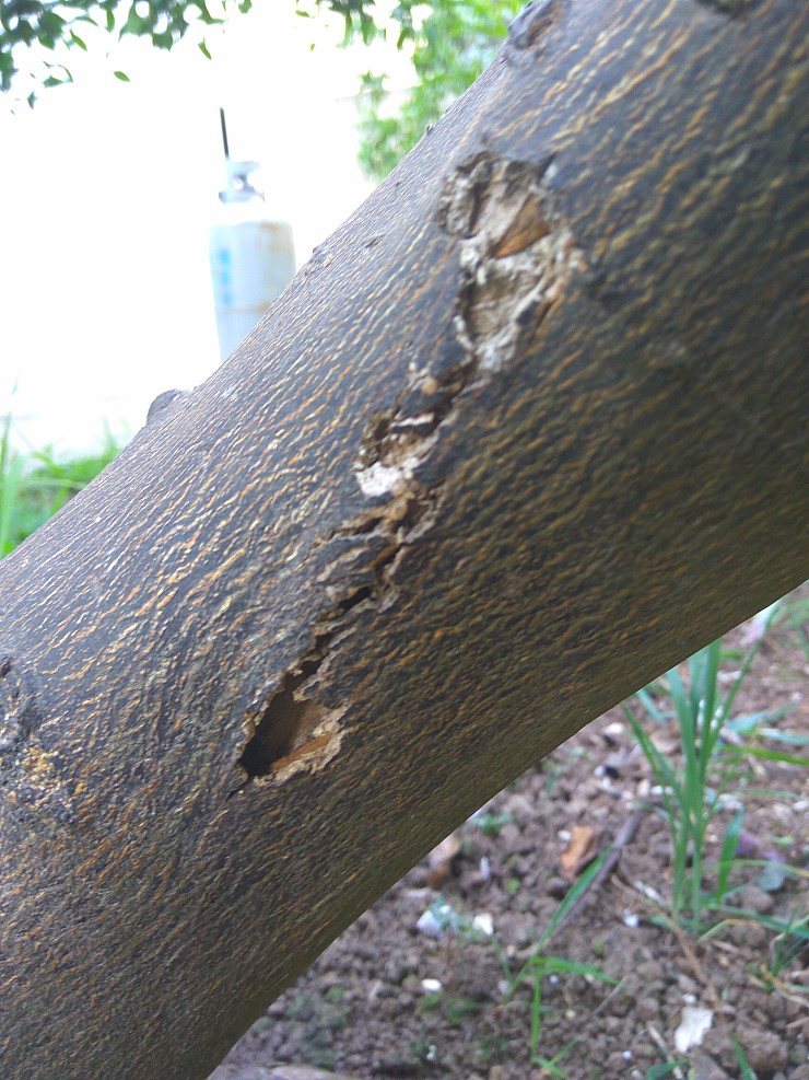 확인 부탁드립니다