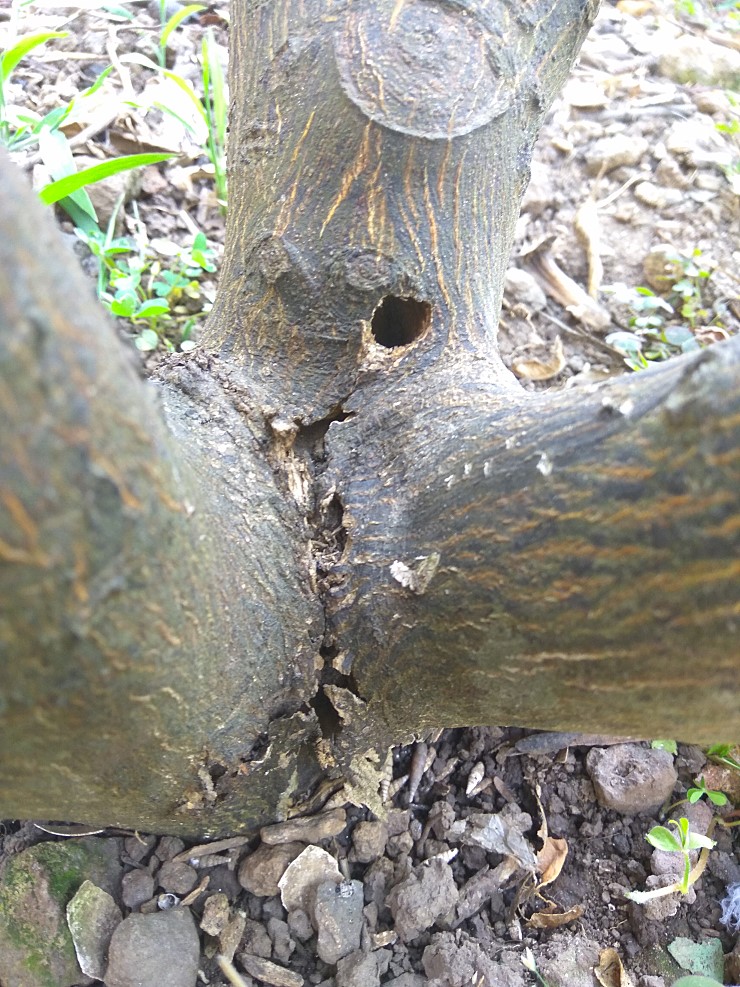 확인 부탁드립니다