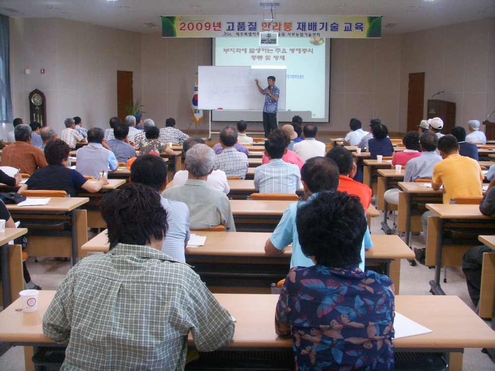 6월 한라봉교육