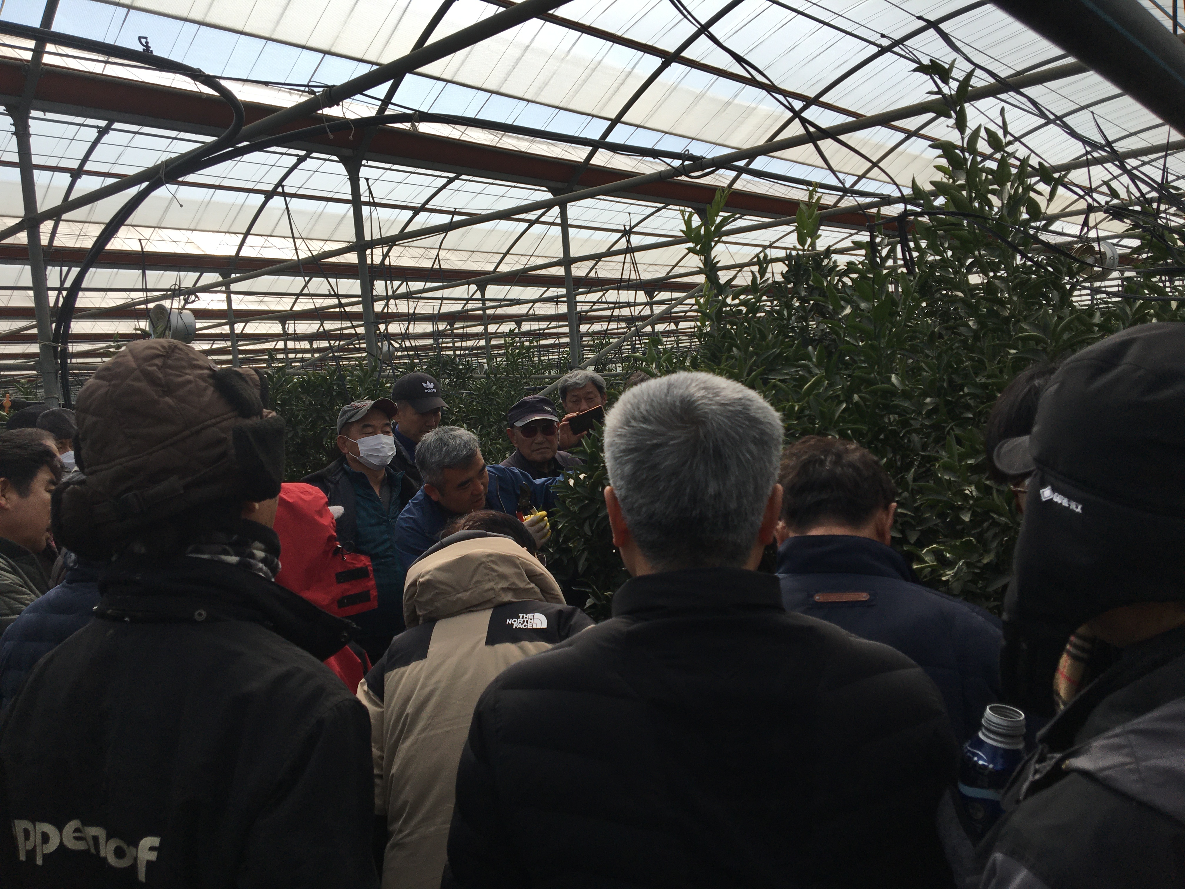 만감류 정지·전정교육