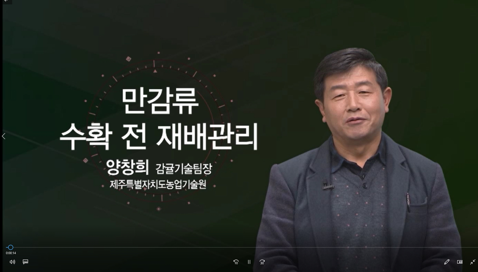 만감류 수확전 재배관리