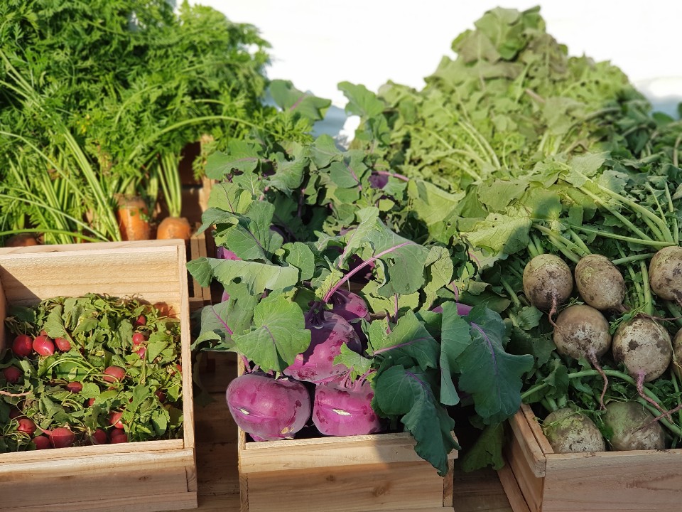 땅의 생명을 노래하는 농부와 조리명인의 맛남