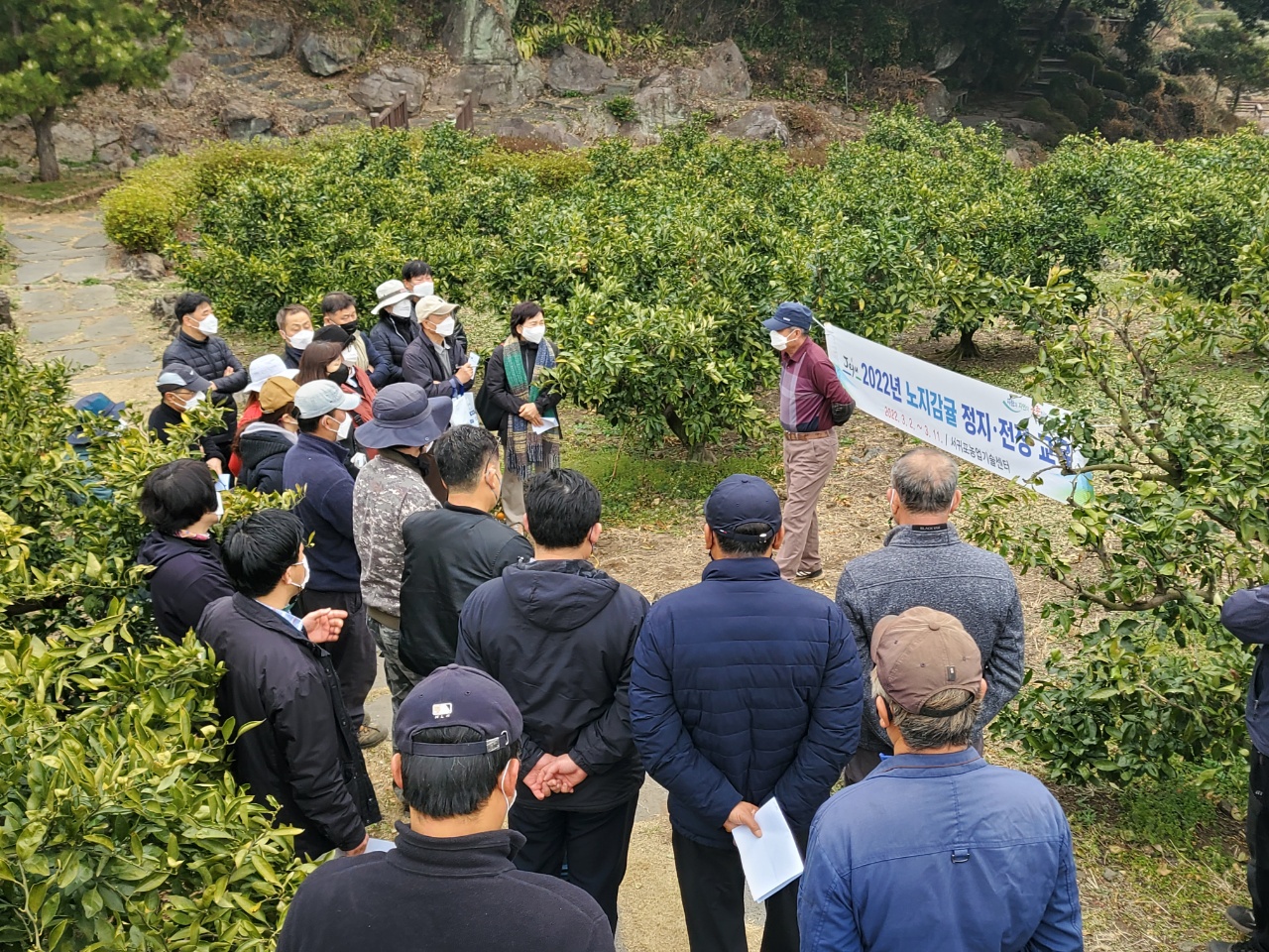 2022년 감귤 전지.전정교육