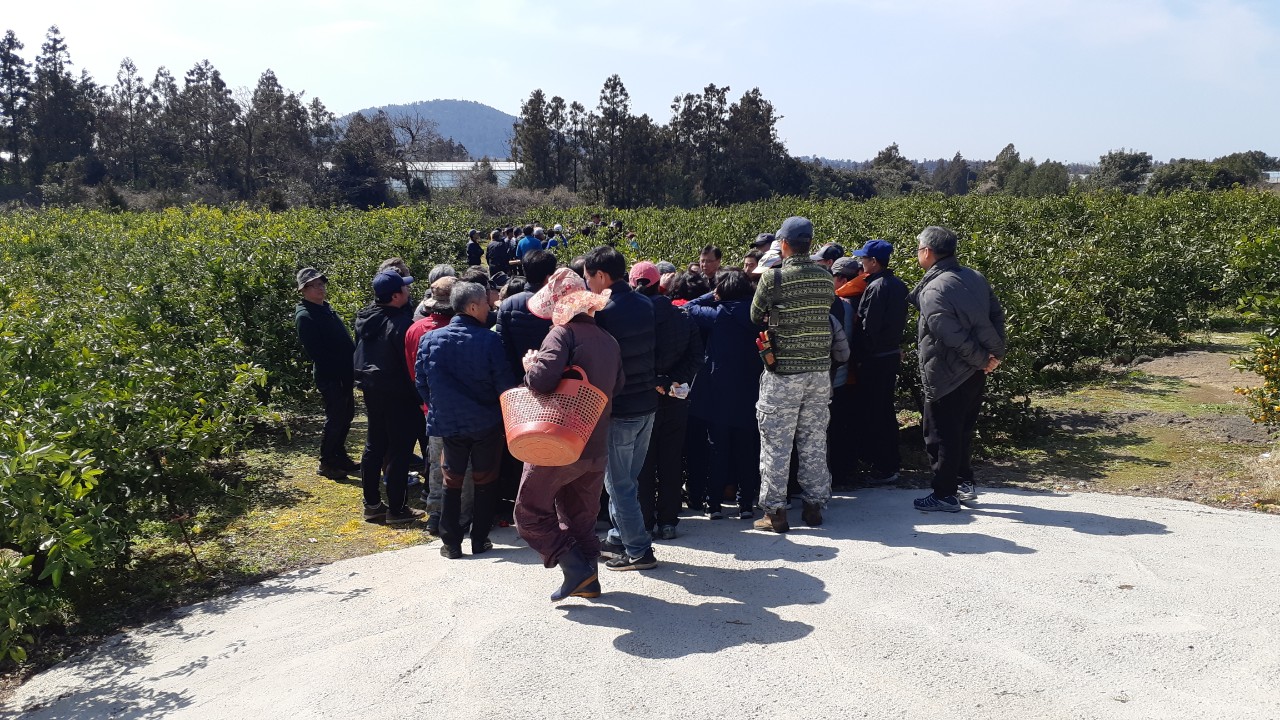 노지감귤 정지, 정전교육(서부센터)