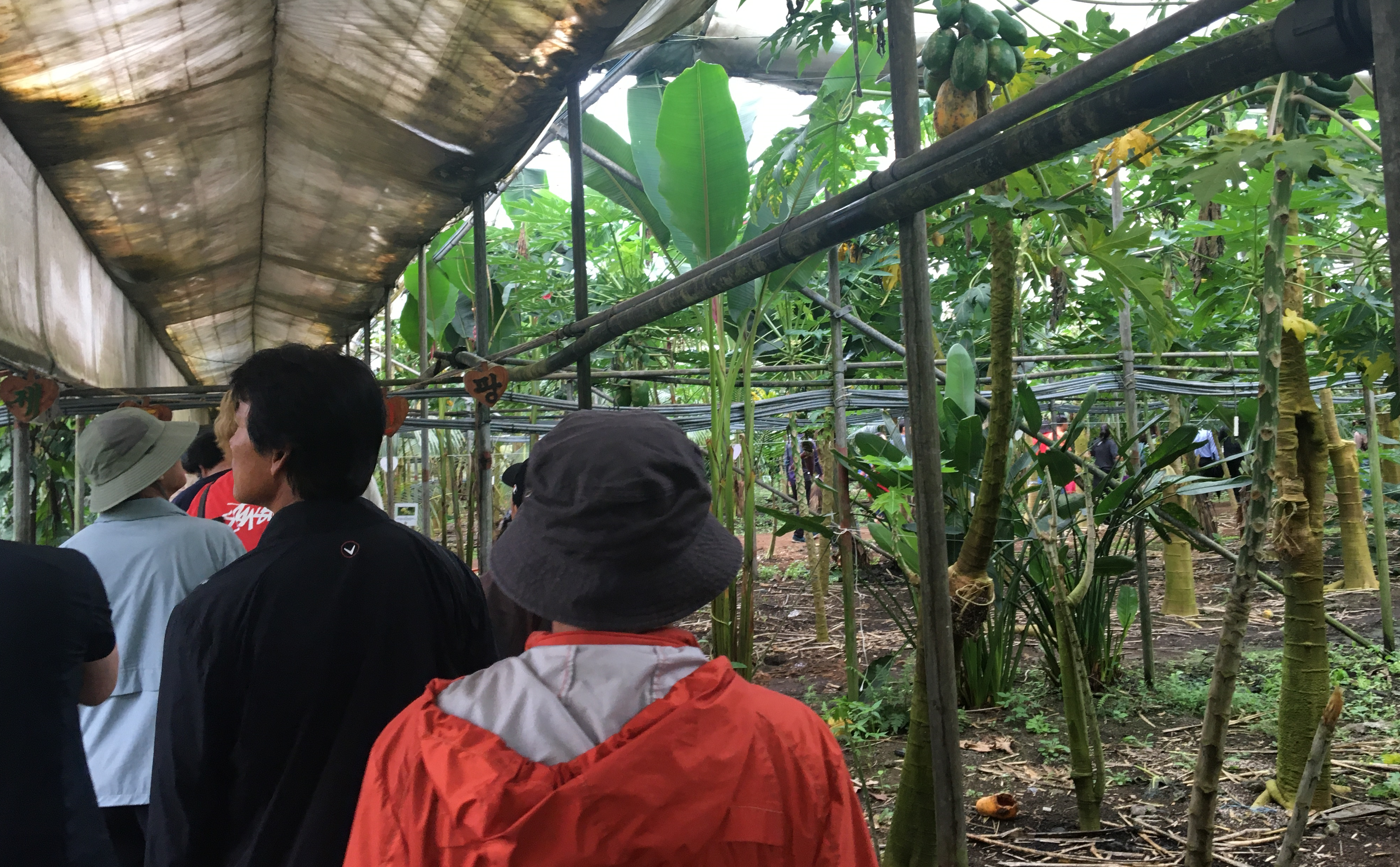 2023년 신규농업인 기초영농기술교육