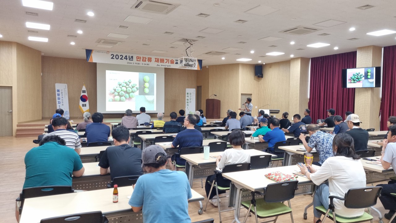 2024년 만감류 재배기술 교육(3회차)