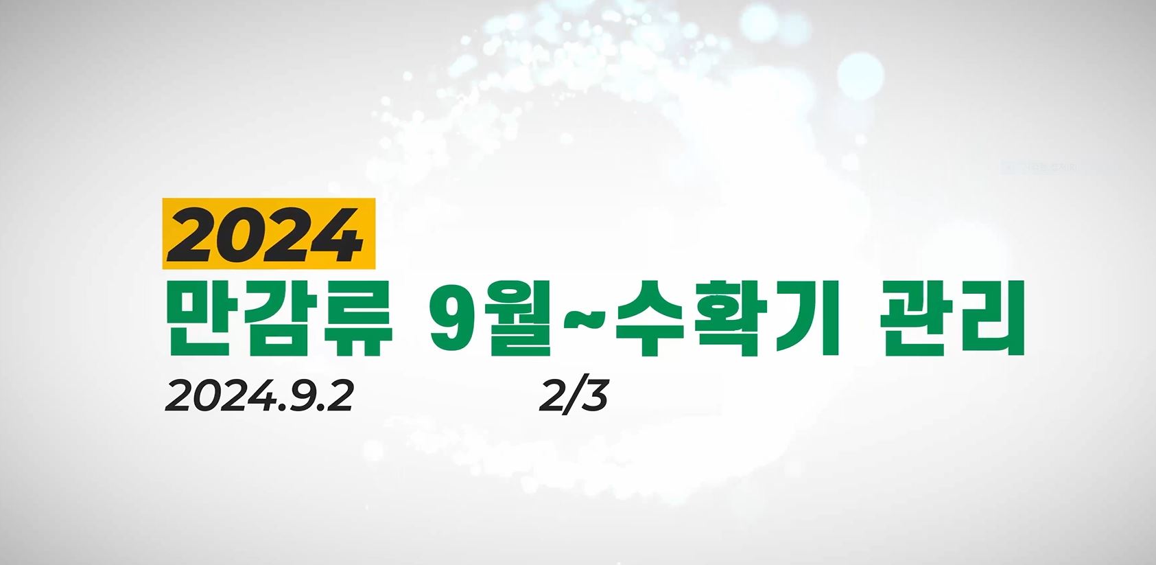 만감류 재배기술(9월~수확기 관리)2