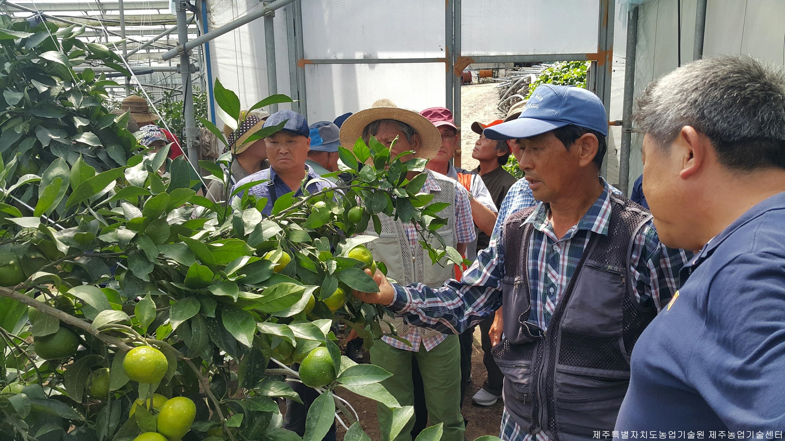 늘푸른감귤연구회 역량강화 현장교육
