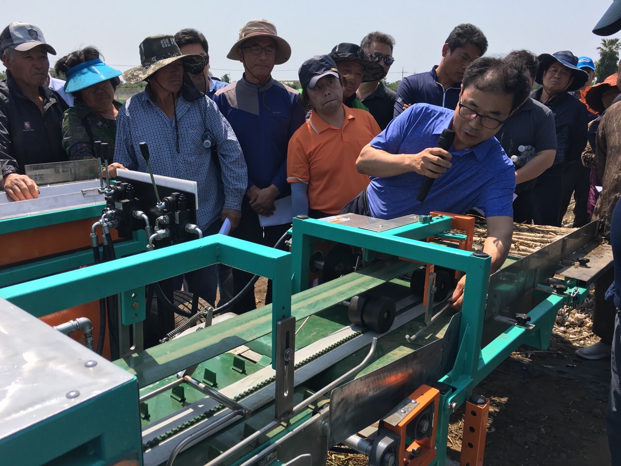 제주형 마늘줄기 절단선별기 현장시연회