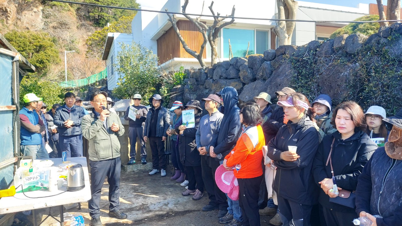 노지감귤 정지전정교육(효돈농협)