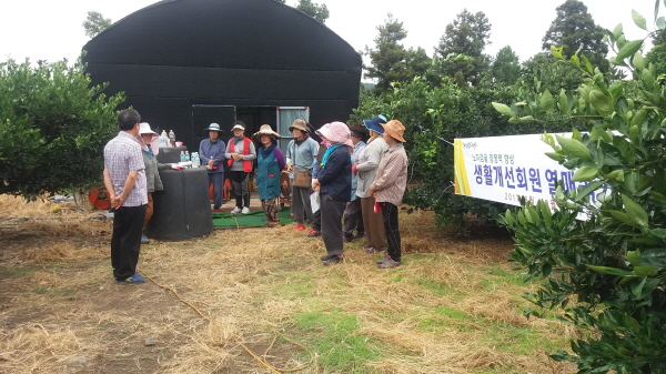 170830 생활개선 안덕면회 열매솎기 봉사활동