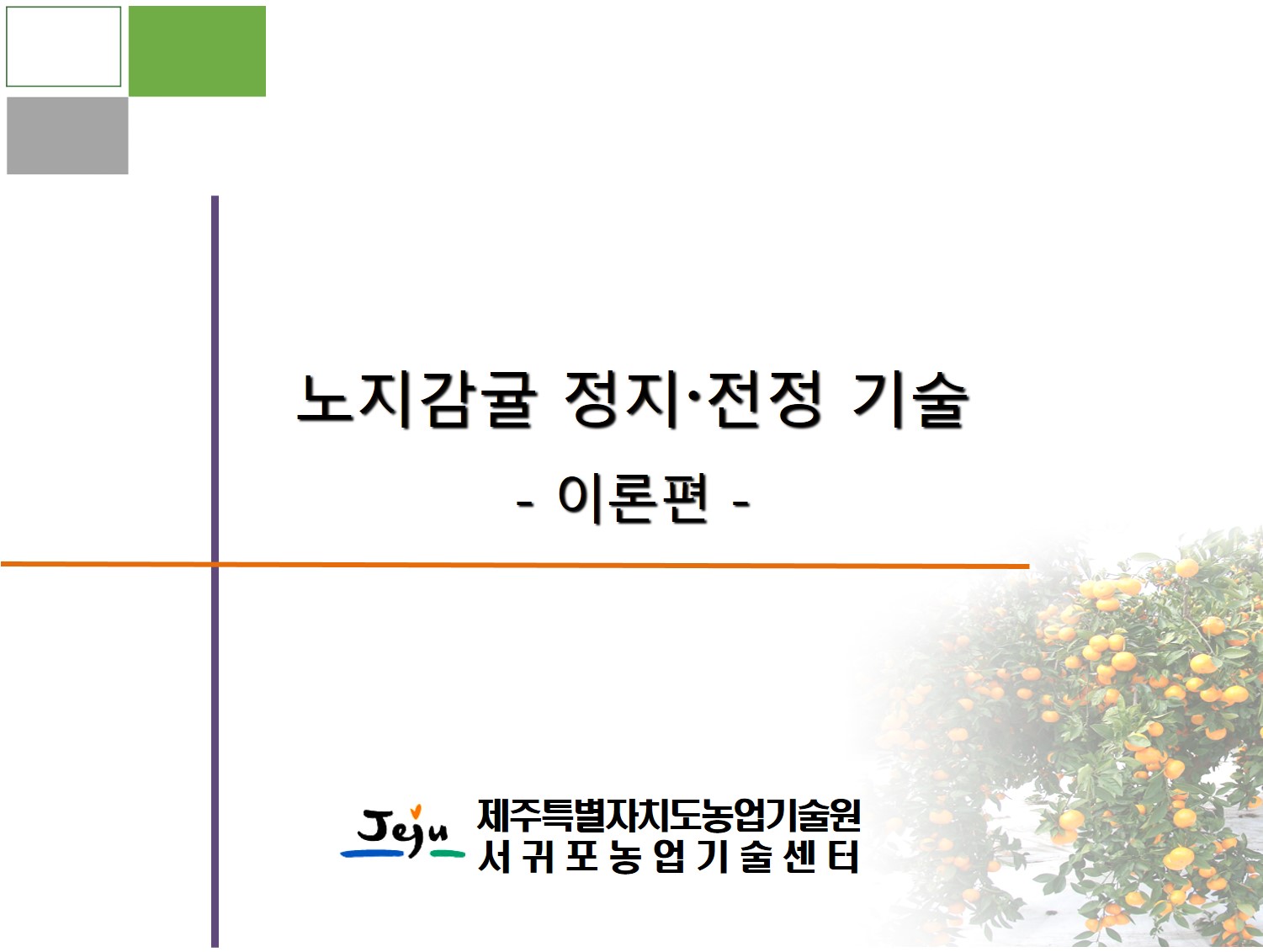 노지감귤 정지•전정 기술 (이론편)