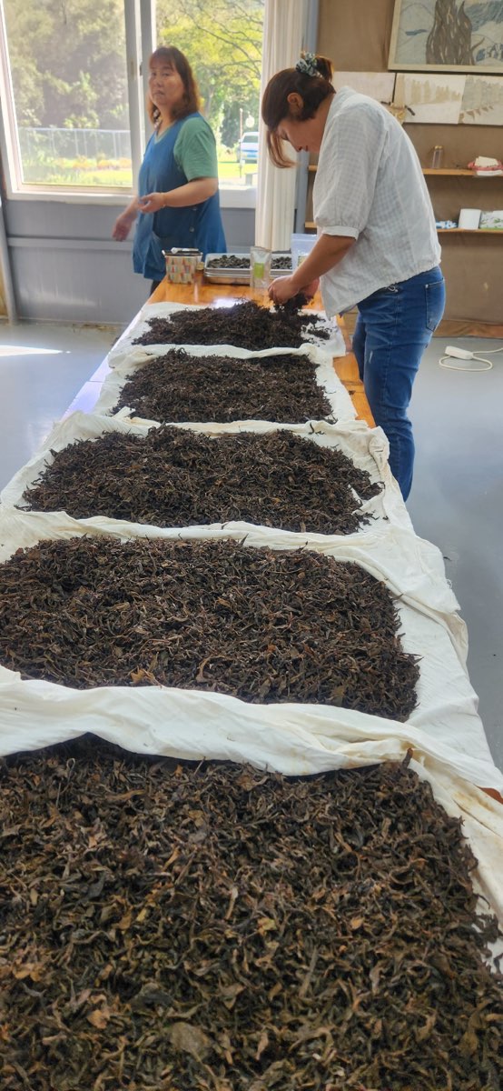 서귀포시차연구회 역량강화 교육