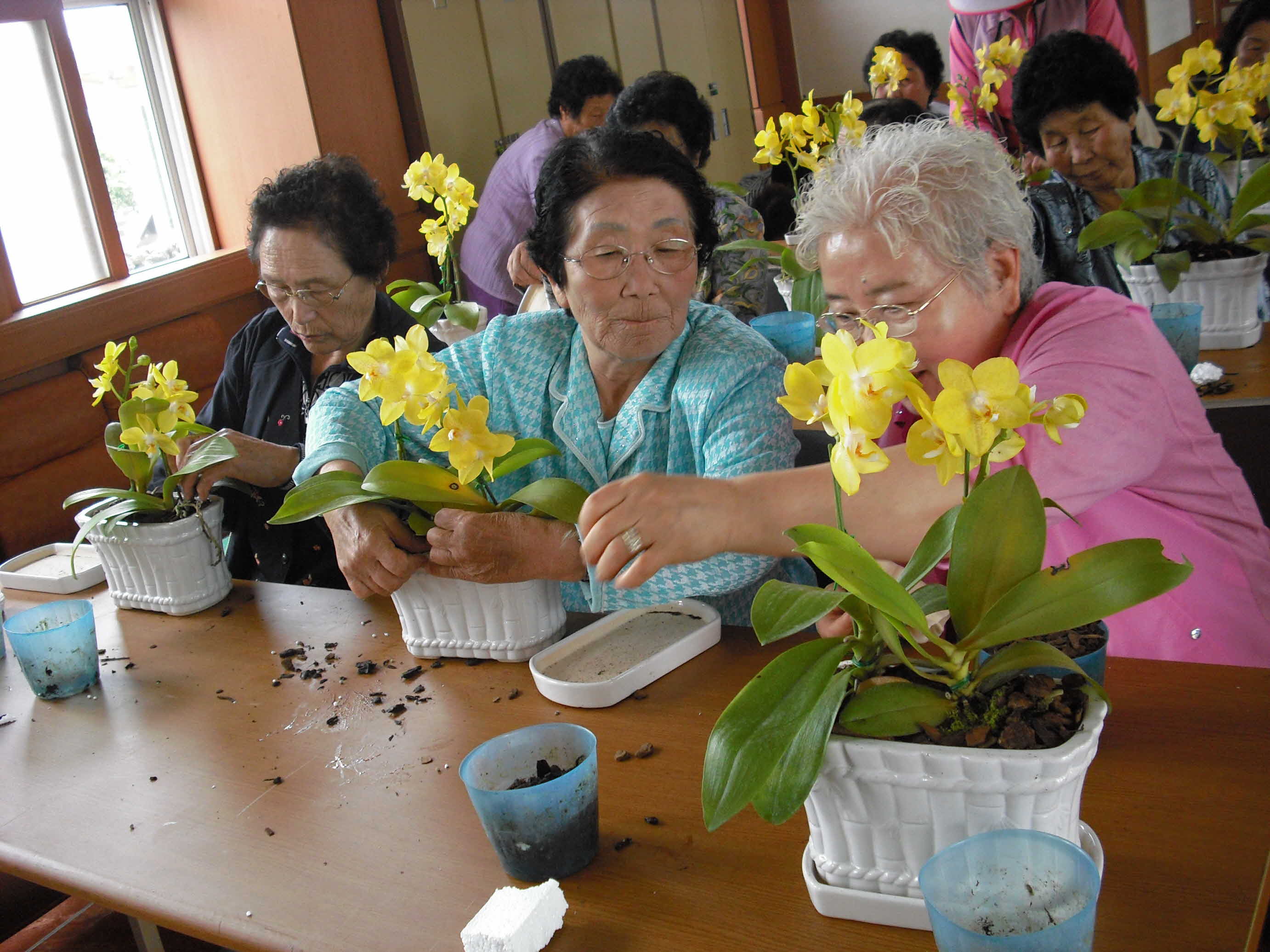 농촌건강장수마을 2