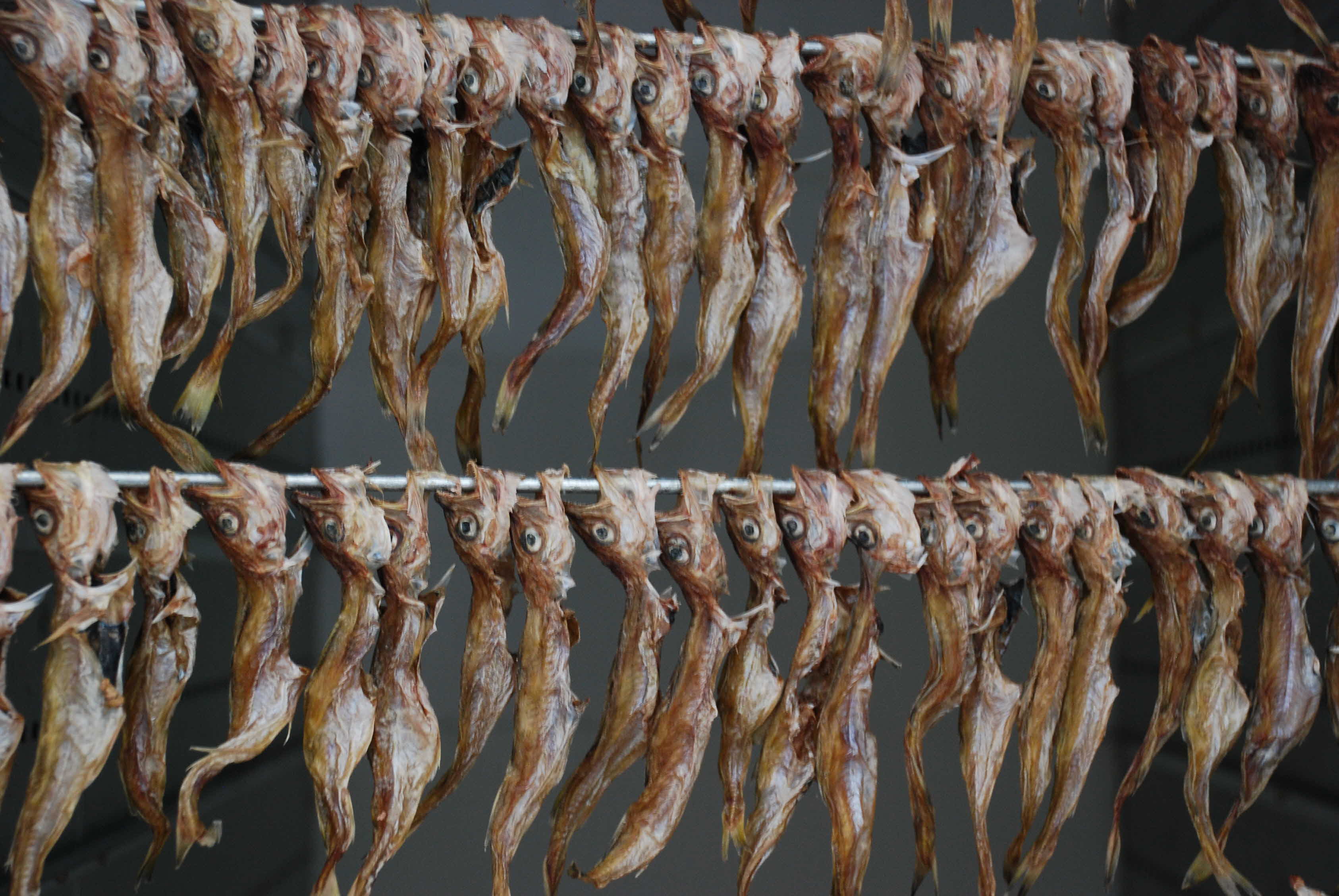 다목적 건조기 이렇게 활용한다!!