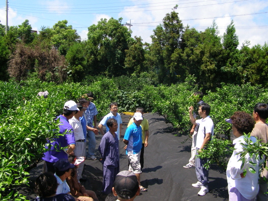 탑프루트현장평가회 (8. 17)