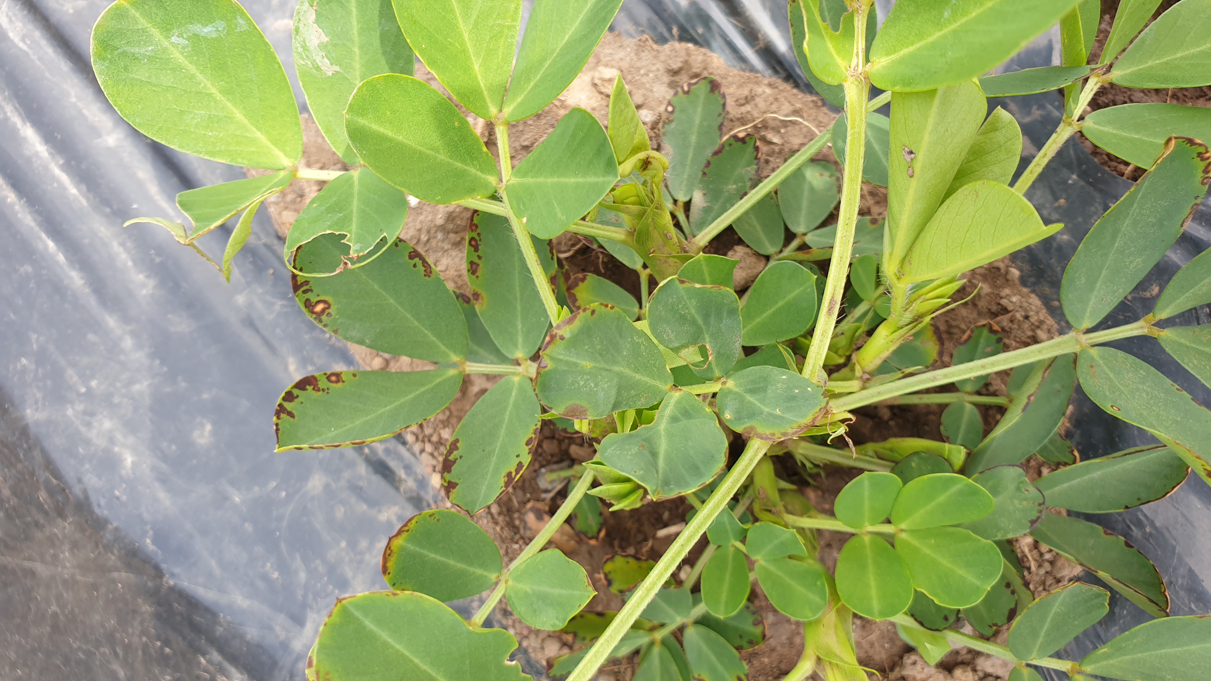 몇가지 문의 드립니다