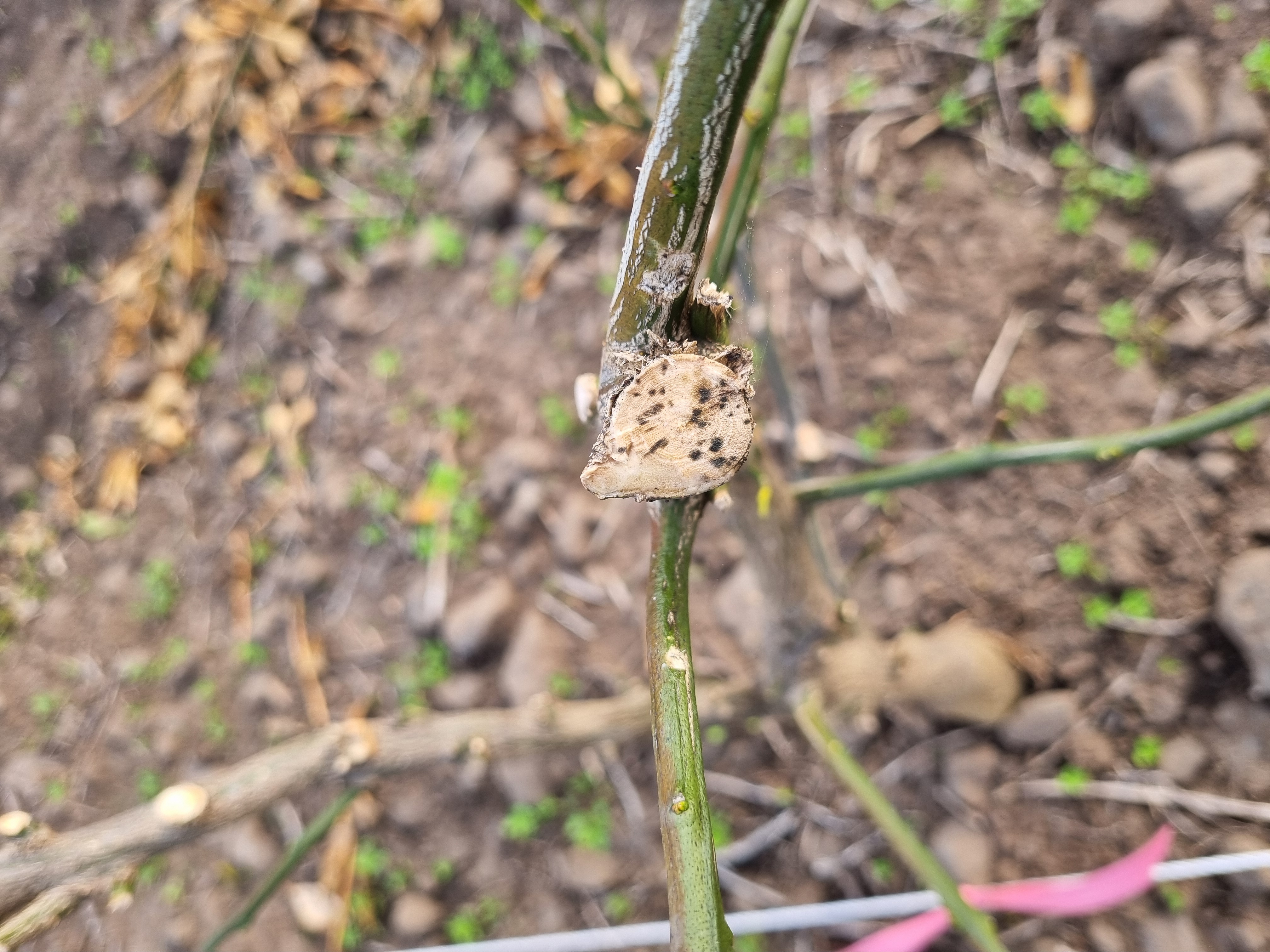 정식작업 후 발생되는 부분에서 문의드립니다.
