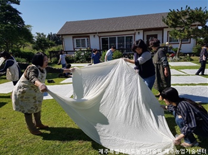 학교4-H회 지도교사 연찬회