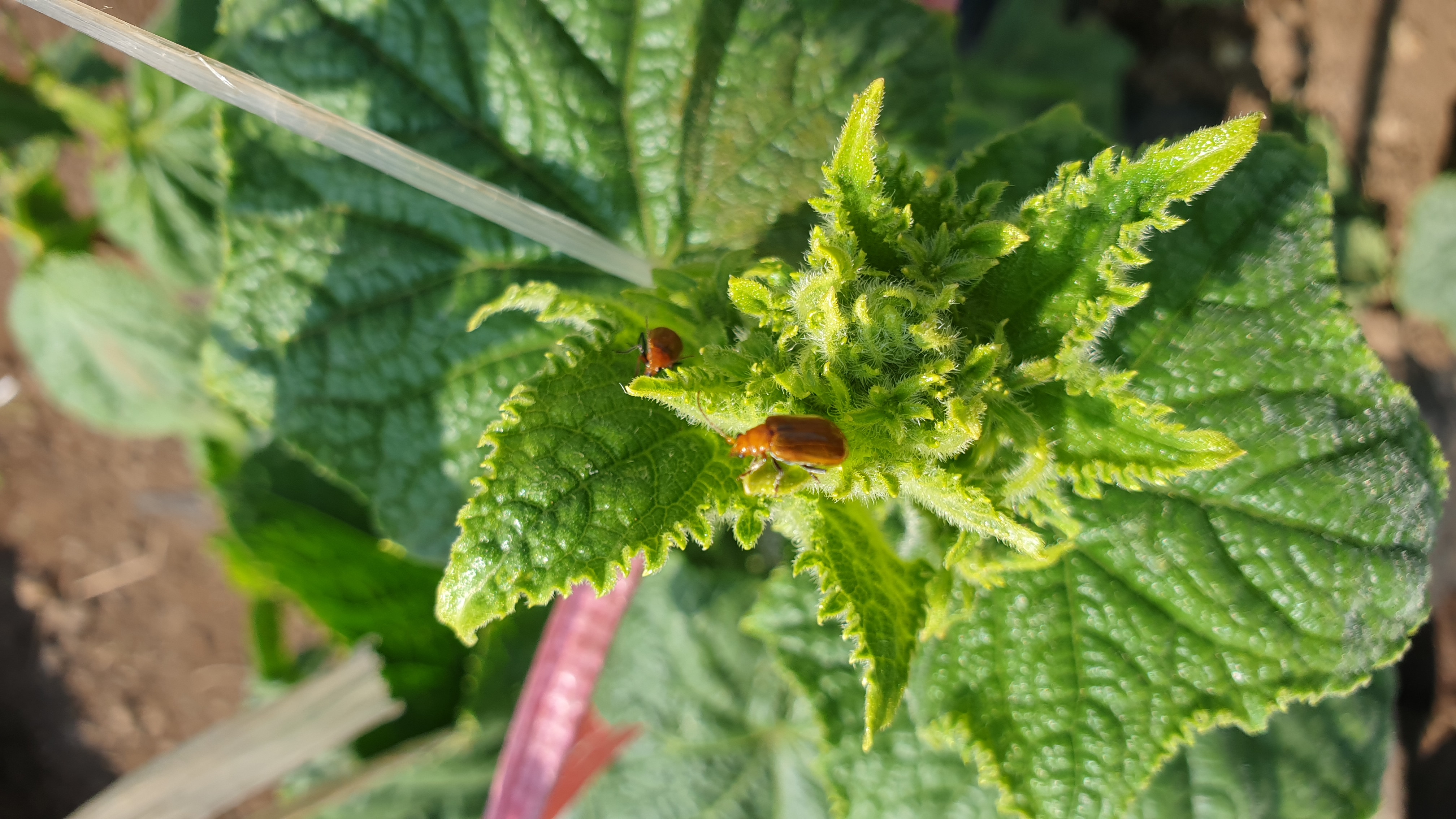 몇가지 문의 드립니다