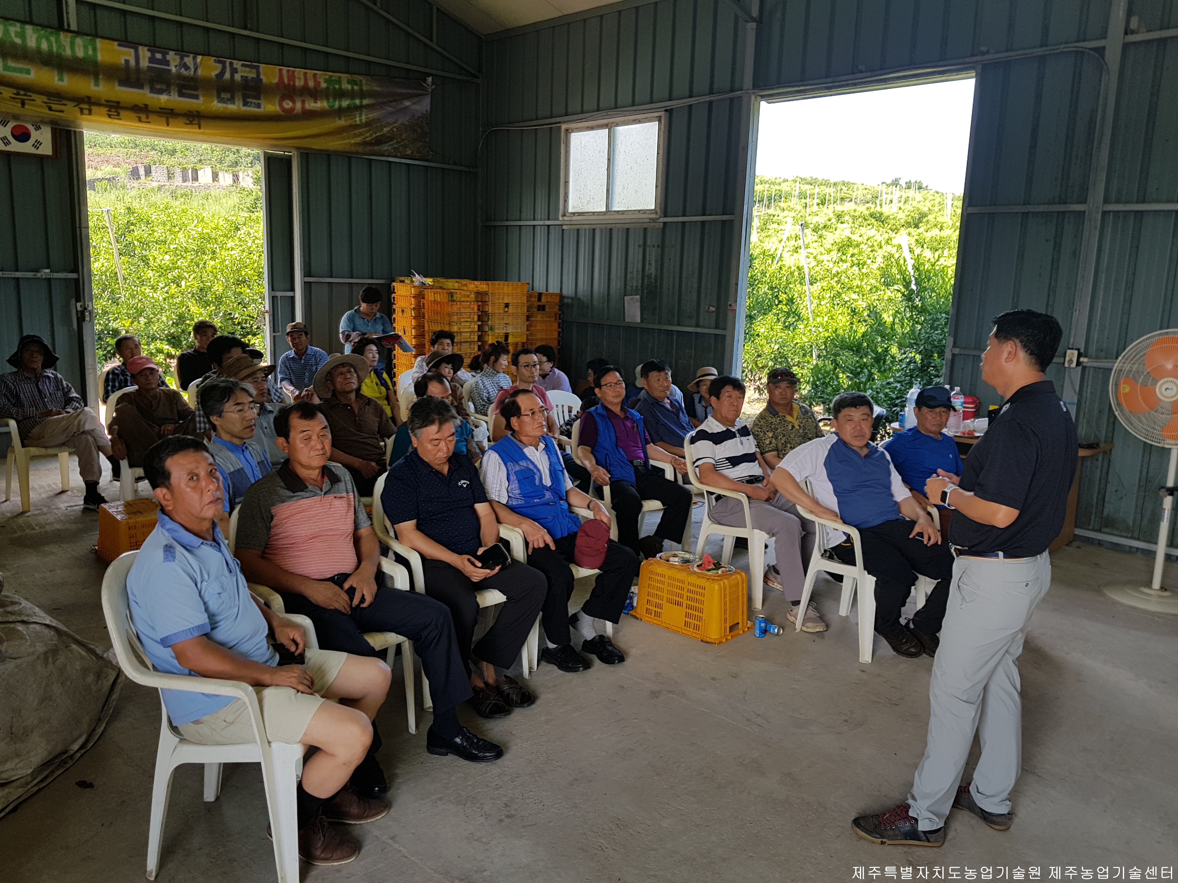 늘푸른감귤연구회 여름전정교육