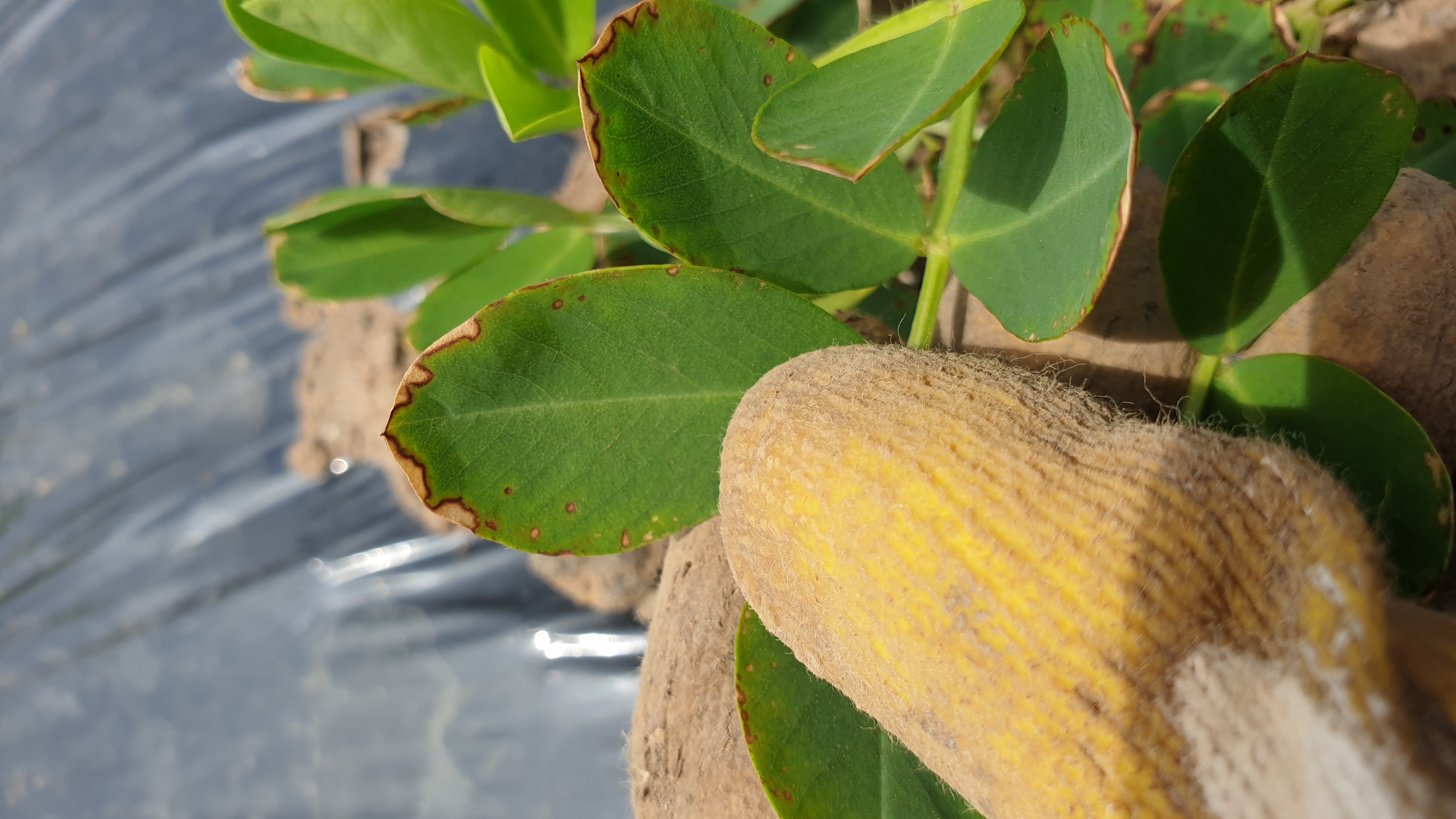 몇가지 문의 드립니다