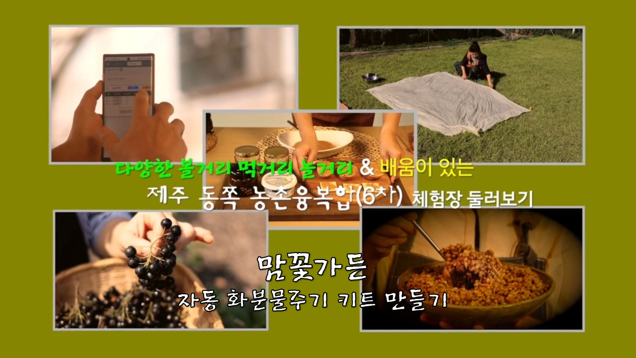 비대면 홍보 체험 행사(자동 화분 물주기 키트 만들기)