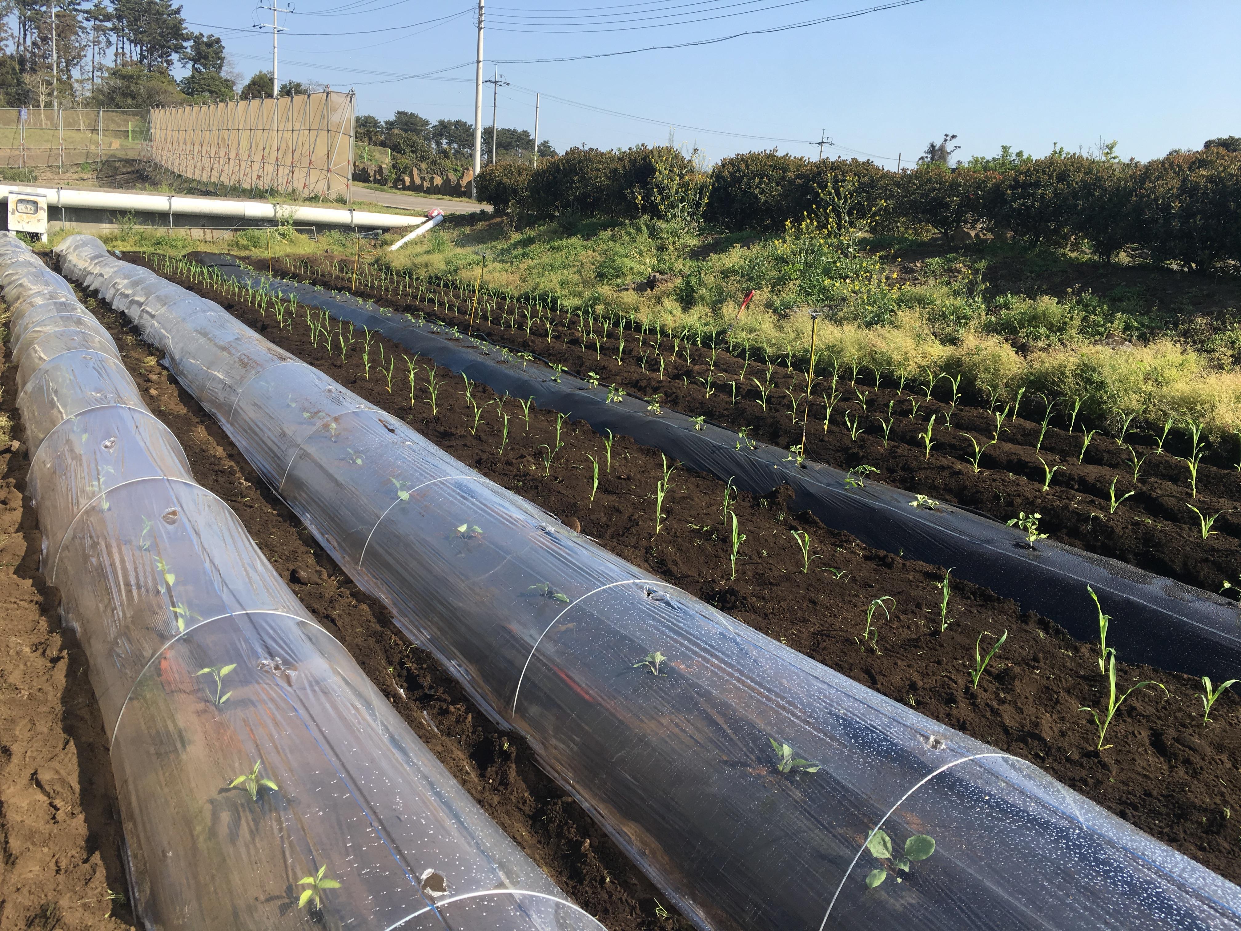 신규농업인 기초 영농교육(7회차)