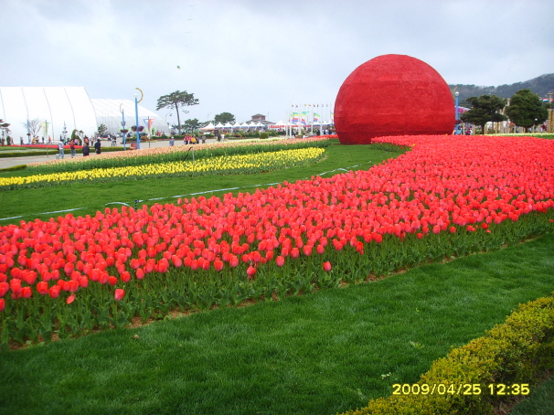 농촌지도자회 선진지 견학