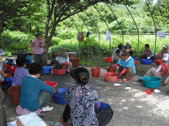 농촌자원활용 천연염색 기술교육 - 3회차