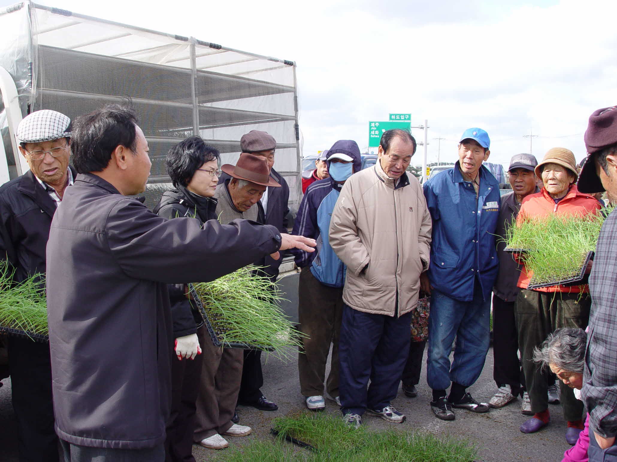 농촌건강장수마을 양파 육묘 정식 교육