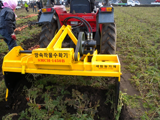 당근수확기 연시 현장