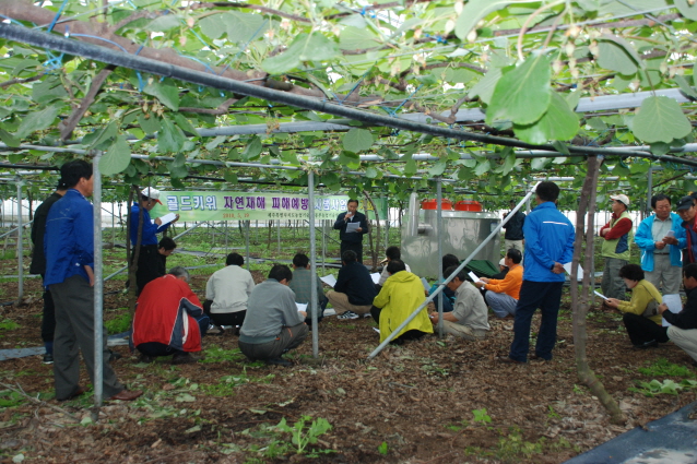 골드키위 자연재해예방 시범사업 평가회