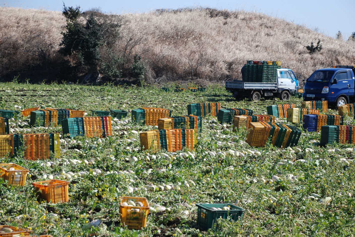 동부농업기술센터 임직원 봉사활동 참여