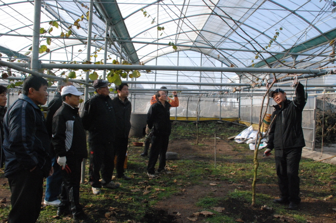 제주동부한라골드키위연구회 연찬현장