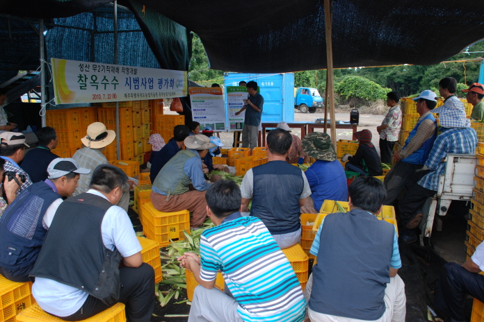 찰옥수수 시범사업 평가회 (3)