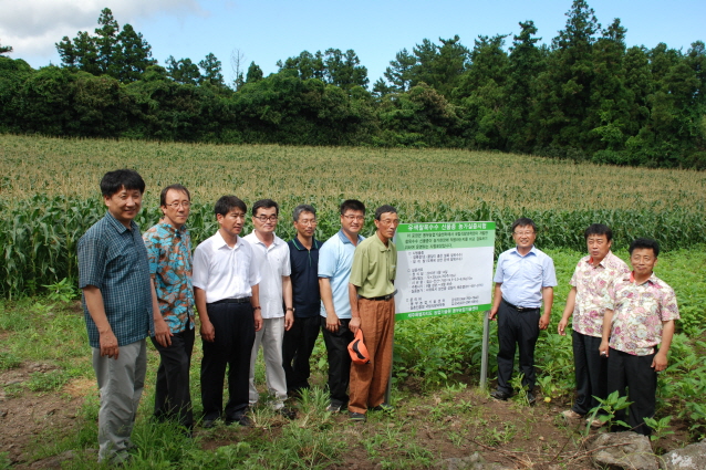 찰옥수수 시범사업 평가회 (1)