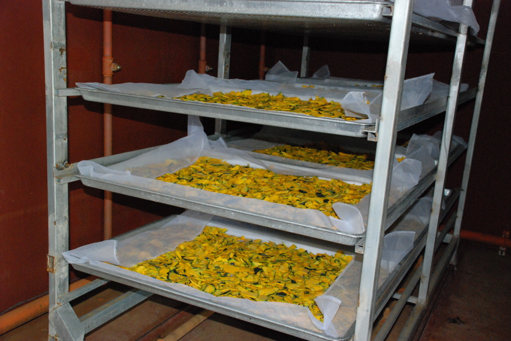 호박건조가공현장