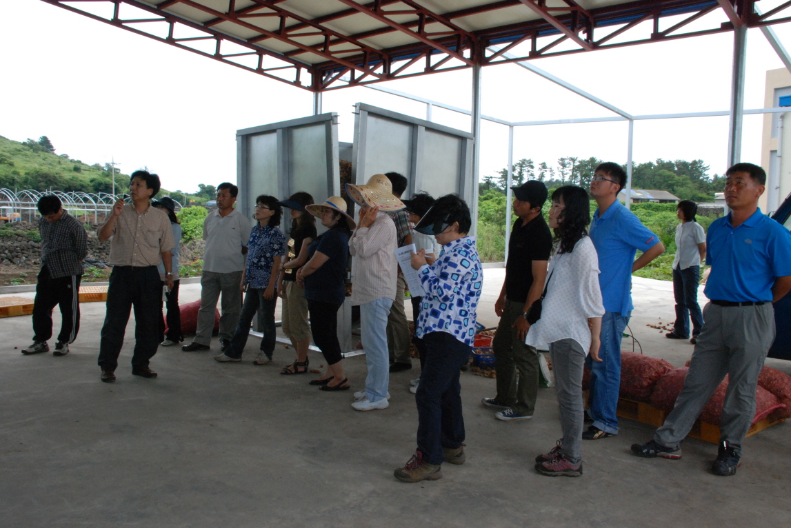 쪽파종구상품성향상시범현장